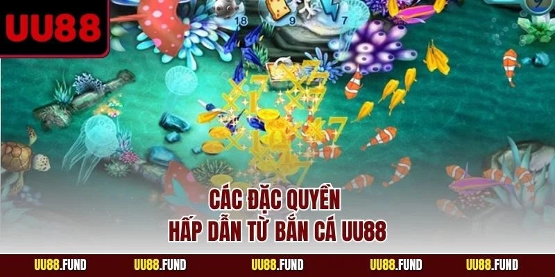 cac-dac-quyen-hap-dan-tu-ban-ca-uu88