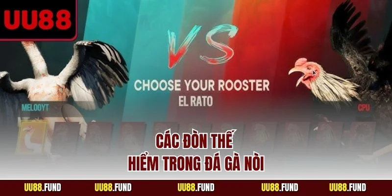 cac-don-the-hiem-trong-da-ga-noi