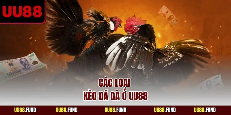 cac-loai-keo-da-ga-o-uu88