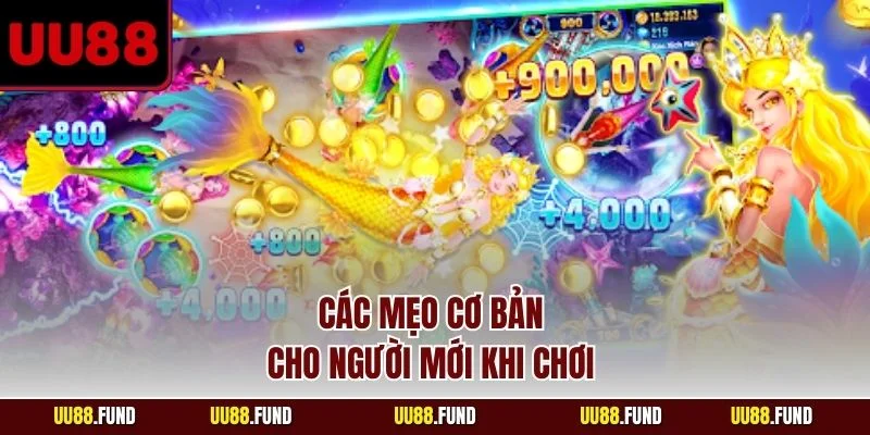 cac-meo-co-ban-cho-nguoi-moi-khi-choi