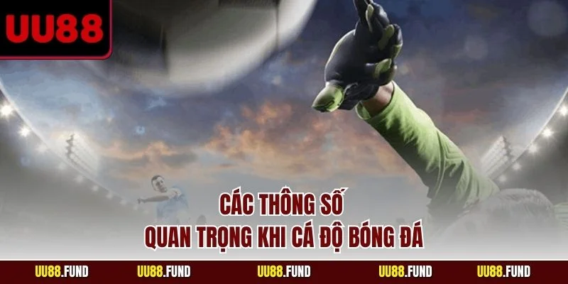 cac-thong-so-quan-trong-khi-ca-do-bong-da