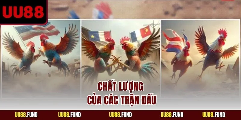 chat-luong-cua-cac-tran-dau