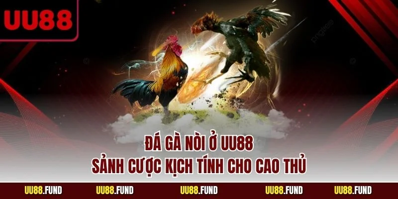 da-ga-noi-o-uu88-sanh-cuoc-kich-tinh-cho-cao-thu