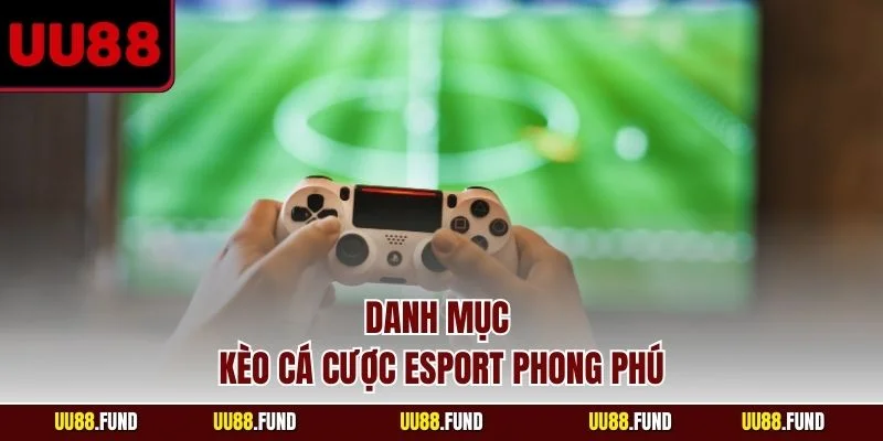 danh-muc-keo-ca-cuoc-esport-phong-phu