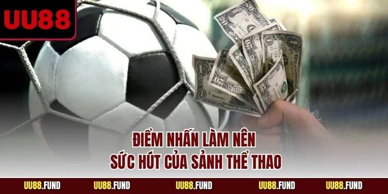 diem-nhan-lam-nen-suc-hut-cua-sanh-the-thao