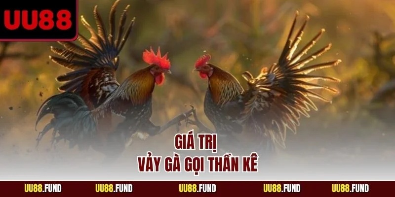 gia-tri-vay-ga-goi-than-ke