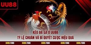 keo-da-ga-o-uu88-ty-le-chuan-va-bi-quyet-cuoc-hieu-qua