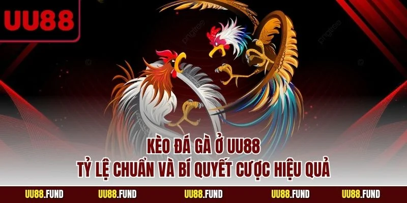keo-da-ga-o-uu88-ty-le-chuan-va-bi-quyet-cuoc-hieu-qua