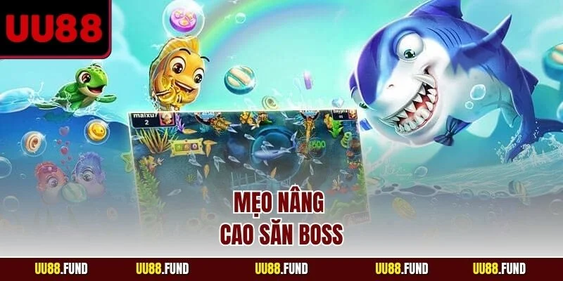 meo-nang-cao-san-boss