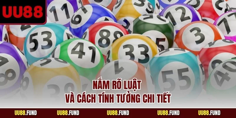 nam-ro-luat-va-cach-tinh-tuong-chi-tiet