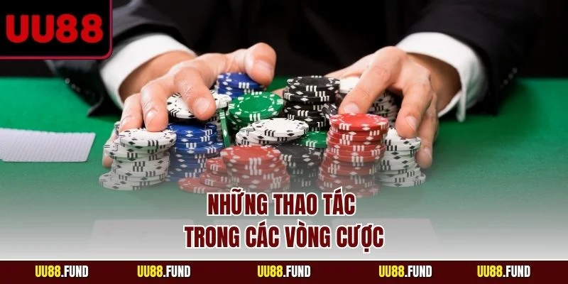 nhung-thao-tac-trong-cac-vong-cuoc