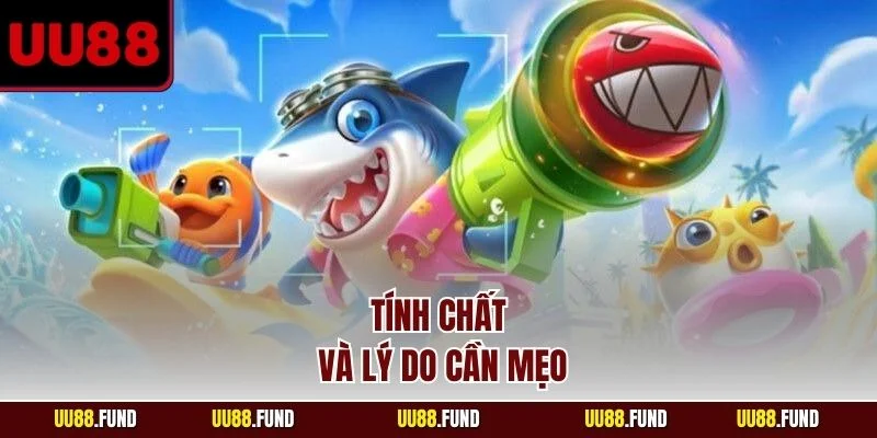 tinh-chat-va-ly-do-can-meo