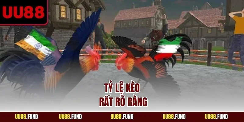 ty-le-keo-rat-ro-rang